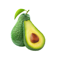 Avocat Fuerte -افوكا