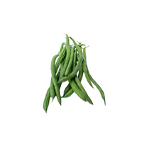 Haricot Vert - لوبيا خضراء