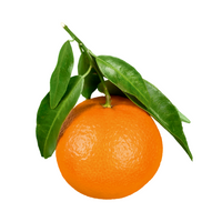 Orange - ليمون