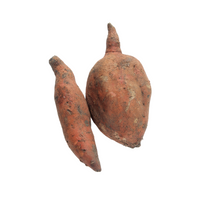 Patate Douce - بطاطة حلوة