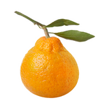 Mandarine - المندرين