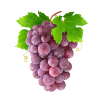 Raisin Red Globe - عنب أحمر