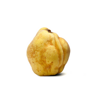 Coing -سفرجل