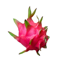 Fruit Du Dragon I Pitaya