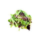 Mesclun De Salade - مسكلان سلاد