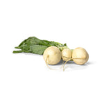 Navet Blanc -لفت أبيض