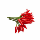 Piment Fort - فلفل حار