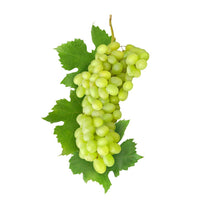Raisin Blanc - عنب أبيض