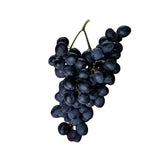 Raisin Noir - عنب أسود