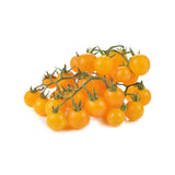 Tomate Cerise Jaune